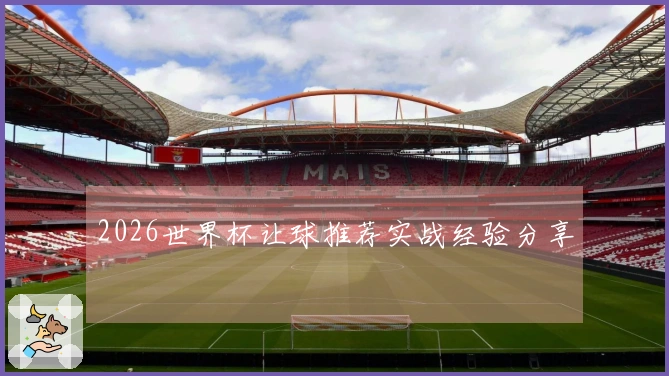 2026世界杯让球推荐实战经验分享