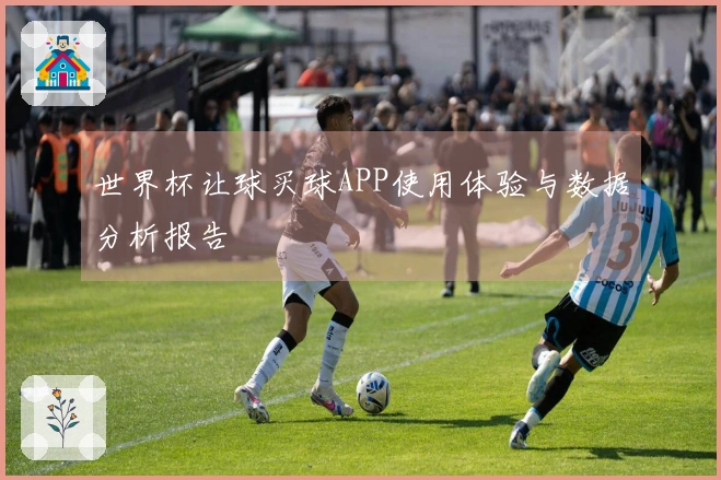 世界杯让球买球APP使用体验与数据分析报告